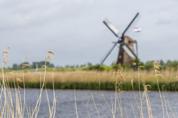 Travel in Netherlands . traditional Holland - Windmills