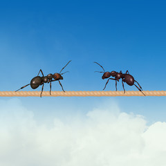 illustration of two ants on the wire