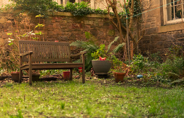 Obraz premium wood old bench in a garden 