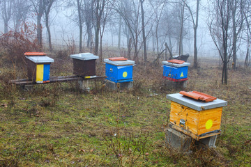 Old hives in the meadow in the early morning with haze