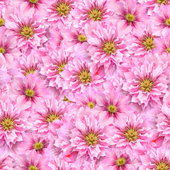Obraz na płótnie Canvas Clematis seamless pattern. Pink summer bright flowers background