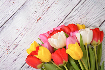 A bouquet of fresh, bright, multi-colored tulips on white wooden boards.