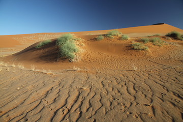 piasek i niebo na pustyni namib w namibii © KOLA  STUDIO