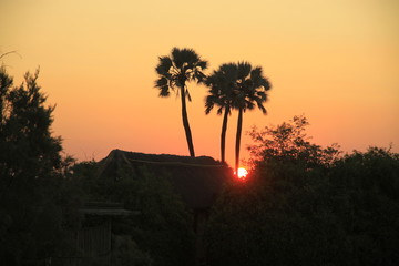 wschód słońca nad afrykańską wioską © KOLA  STUDIO