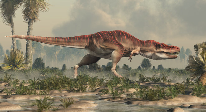 Tarbosaurus was a carnivorous theropod dinosaur, a type of tyrannosaur, it lived during the Cretaceous in Mongolia. Here shown in a watery lowland.   3D Rendering.