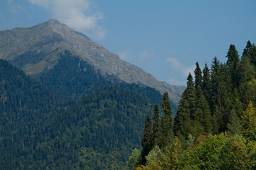 Fototapeta premium The peaks of the Caucasus Mountains in the vicinity of Lake Ritsa, Abkhazia.