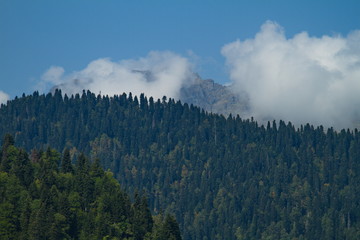 The peaks of the Caucasus Mountains in the vicinity of Lake Ritsa, Abkhazia.
