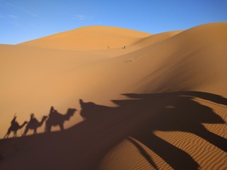 Fototapeta na wymiar Sahara, Marruecos. Sombra de camellos. 