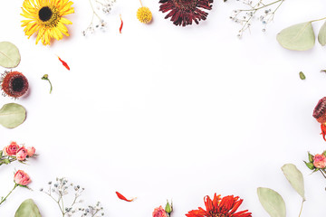 Frame of dry flowers on white background.