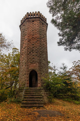 Obraz premium Der Rehbergturm auf dem Rehberg im Pfälzer Wald