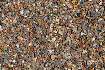 A Background of Wet Seaside Beach Gravel Stones.