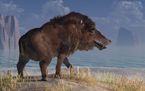 Andrewsarchus, an extinct creature of the Eocene period, was possibly the largest carnivorous land mammal ever, known only from a single fossil skull found in Mongolia. 3D Rendering