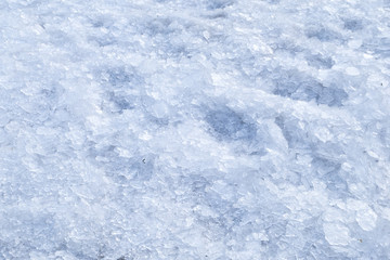 Broken crushed ice fresh cold white winter snow background
