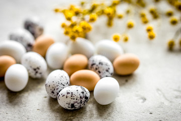 Easter card with eggs and flower on light background