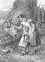 young woman with a horse