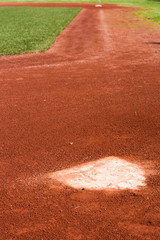 Baseball home Plate and First Base