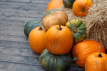 Orange and green pumpkins on the boards, copy space.
