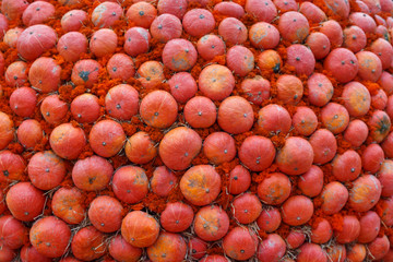 Wall of red decorative pumpkins.