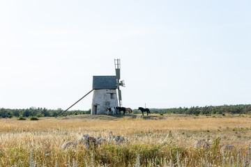 Windmill in Field with Horses