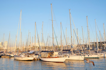 Fototapeta na wymiar Yachts moored in the seaport. Boat parking with yachts on a sunny day. Sea harbor.