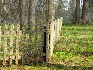 Old wooden fence covered with lichen