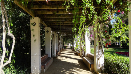 Seville is a solemn city in Andalusia, Spain