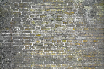 the old yellow brick wall