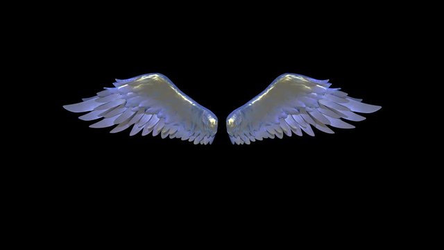 Blue Wings Alpha Matte 3D Animation Rendering 4K