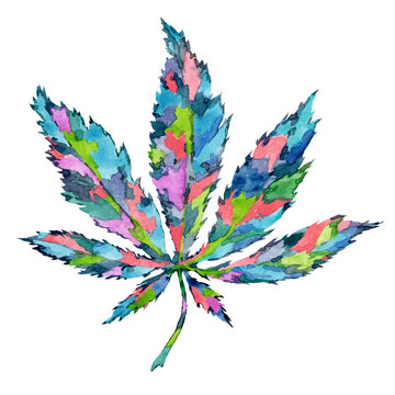 Multi-colored watercolor canabis. Cannabis leaf on a white background with bright acarel spots. Leaf of a plant with pink, green, blue, turquoise, yellow spots.