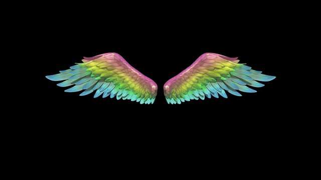 Rainbow Wings Alpha Matte 3D Animation Rendering 4K