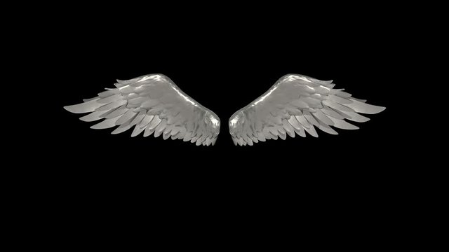 Silver Wings Alpha Matte 3D Animation Rendering 4K