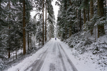 Obraz premium Winterwanderweg im tief verschneiten Wald