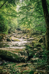 Fototapeta premium Water Flowing over Large Rocks in a Woodland Mountain Stream