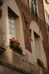 Flowerpots on the windows at traditional style building at historic center of Genoa, Italy