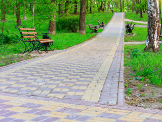 Wooden benches in a picturesque city summer park stand along and along the edges of a paved path that goes up the slope.