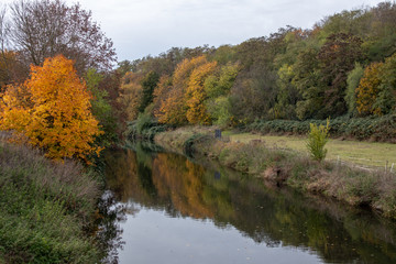 Fototapeta na wymiar Germany,Autumnal view from the river White Elster in the Leipzig Riverside Forest in the south of Leipzig