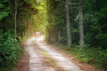 Obraz premium Red car on country road in wild fir forest