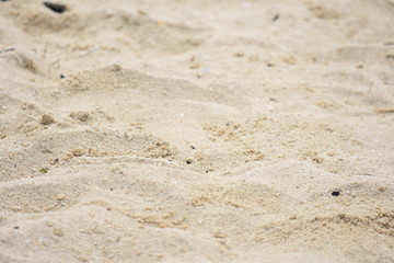 Fototapeta na wymiar A White Sand On Sandy Beach