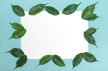 green eco leaves, for writing, design on a blue background