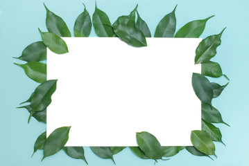 green eco-friendly leaves, for writing to business people, design over a blue background