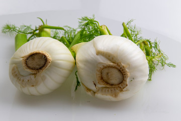 Der Fenchel ist die einzige Pflanzenart der Gattung Foeniculum innerhalb der Familie der...