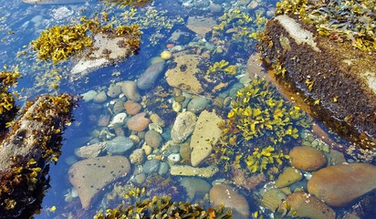 Clallam Bay Washington