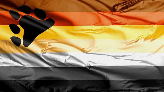 Bear Brotherhood flag. The gay bear culture celebrates secondary sex characteristics such as growth of body hair and facial hair.