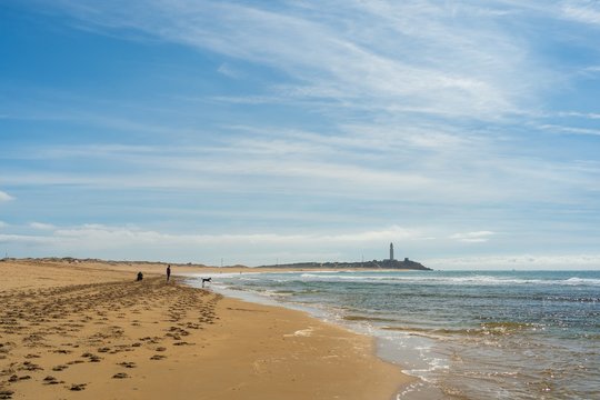 Beautiful wide shot of a sandy beach in zahora spain with a clear blue sky in the background