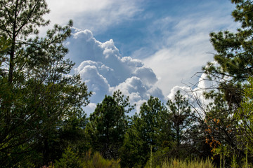 Obraz premium La naturaleza del mundo