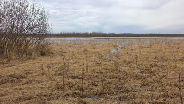 Russia, Novgorod region, Lake Ilmen. Cold spring morning. Spill on the lake.