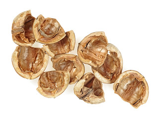 Empty walnut shells isolated on a white background, top view.