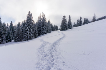 Fototapeta na wymiar Winter landscape in the mountains. Rusinowa Glade. Tatry.