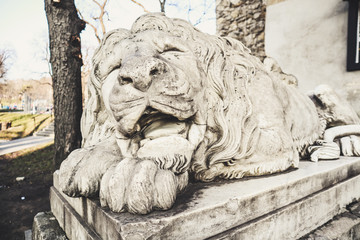 The sculpture of the lion.Old streets of Lviv. Austrian architecture. City details. The atmosphere of Leopolis.