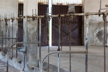 Details of an abandoned stable